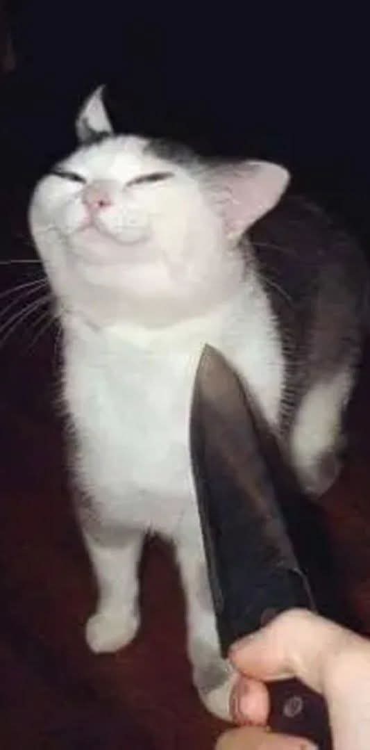 What if i say Thaispinner is dead and getting banned as same as Neir'da case.