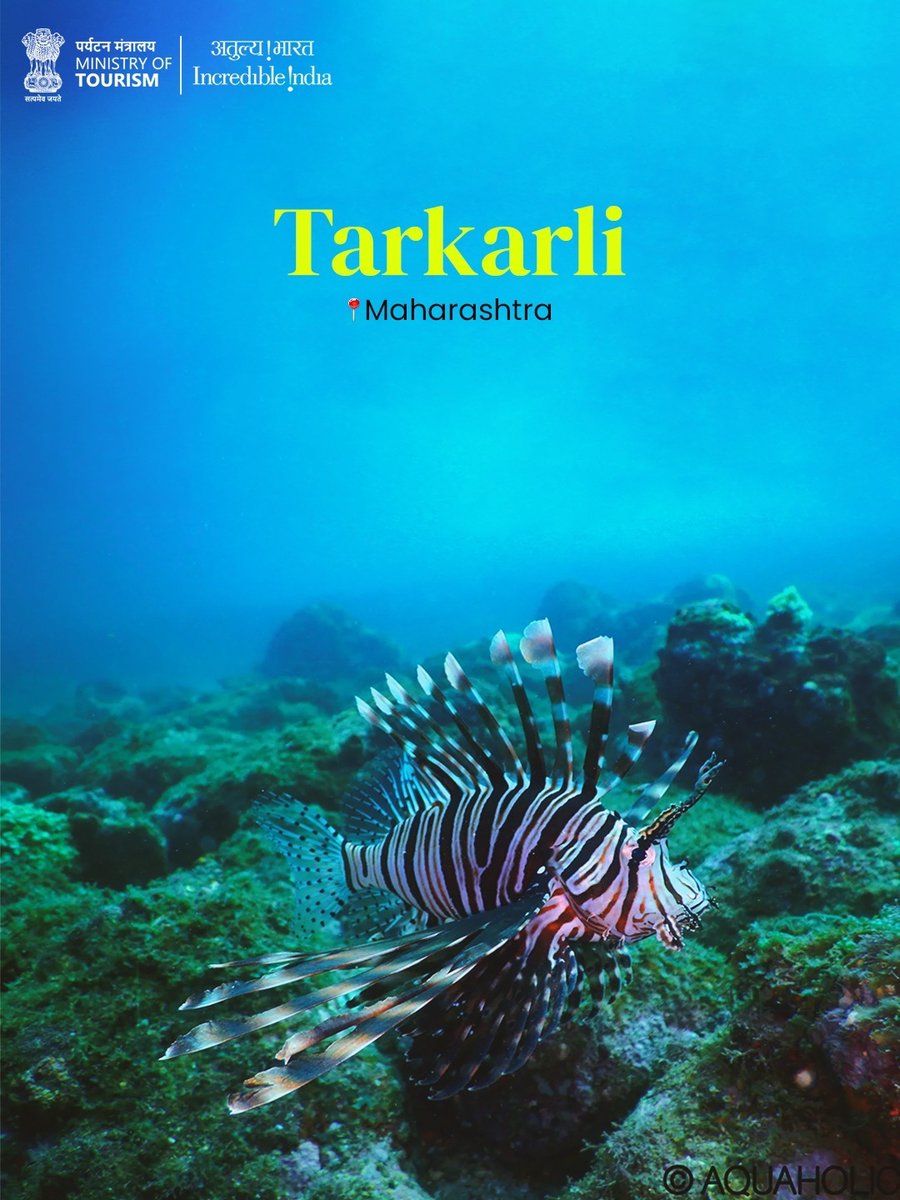 Incredible!ndia tweet media