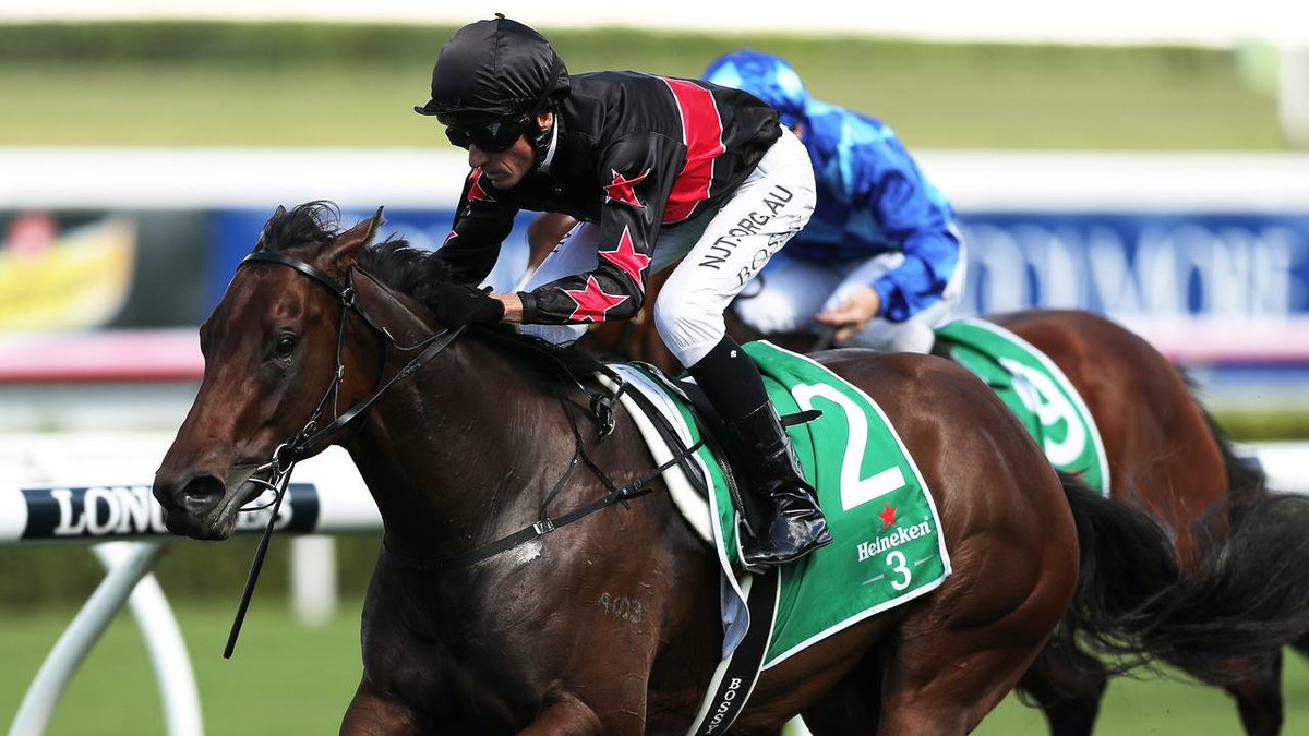 Chicken Parma tweet media