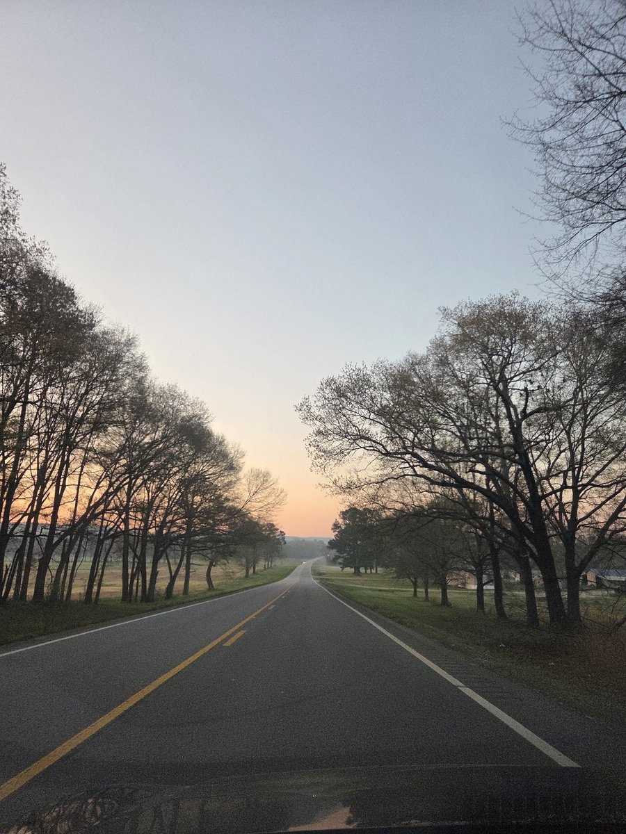 Michele🐘❤🏈 tweet media