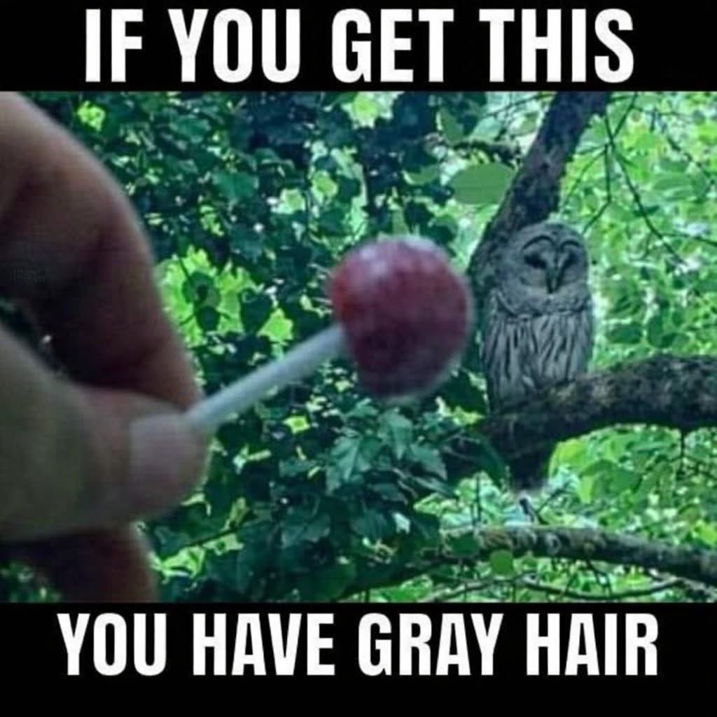 Verbal Assassin ✍🏽 tweet media