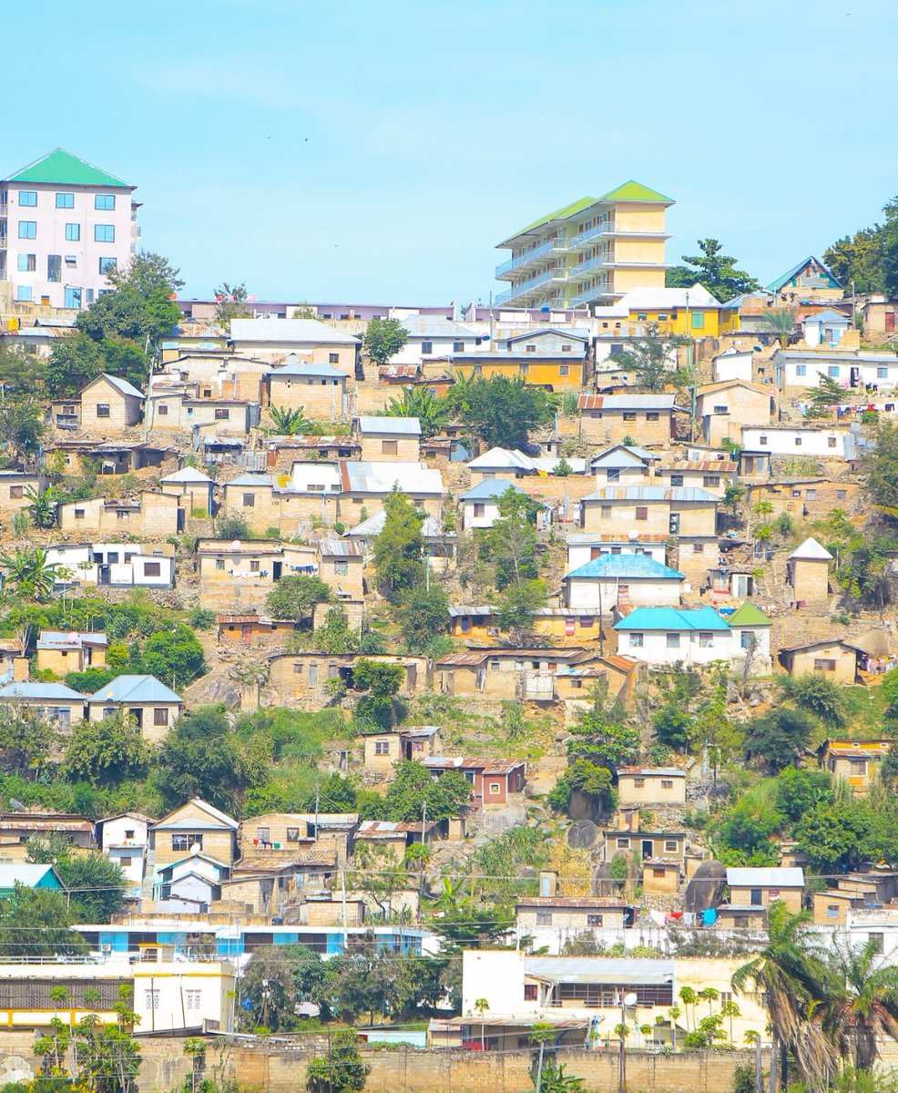 ROSALINE🦋 tweet media