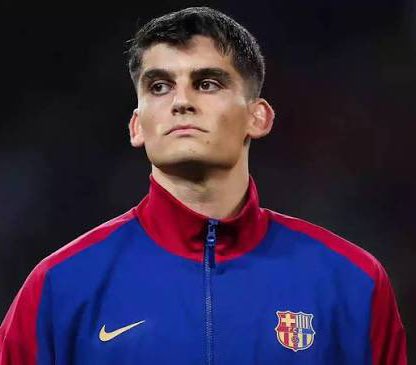 Berneese tweet media