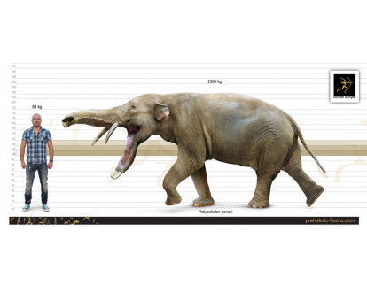 Nightmare 🍉 tweet media