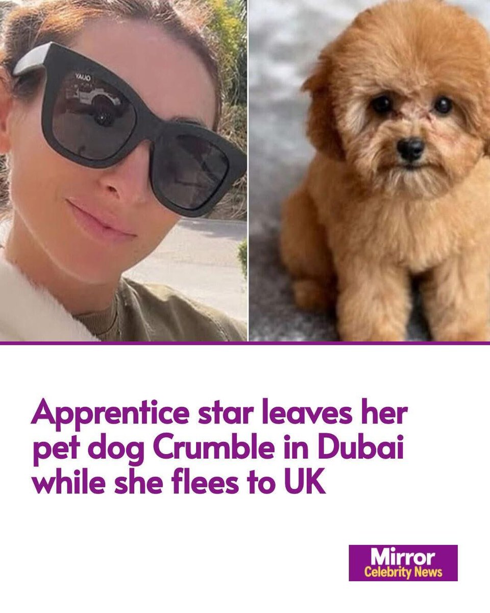 dominic dyer tweet media