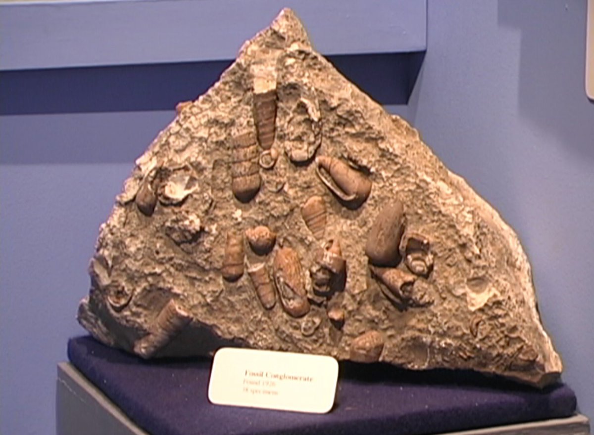 Esteem Education Co. tweet media