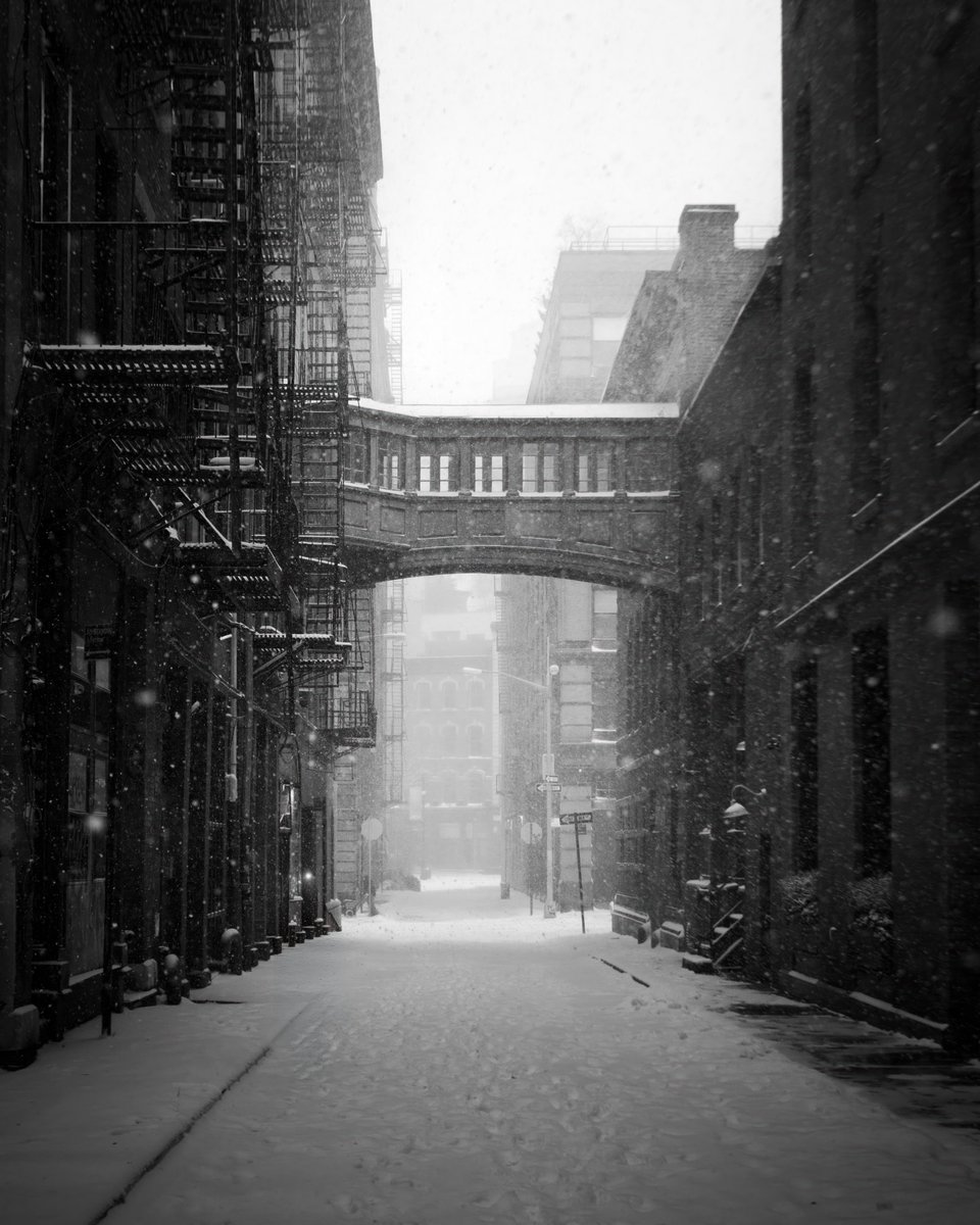 Paul Seibert tweet media