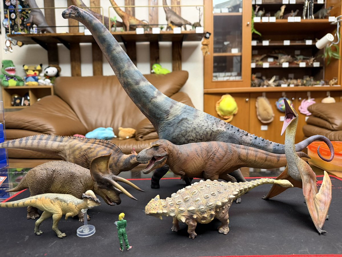 Paleoparadoxian's tweet photo. えー、せっかくなのでここでティラノサウルスさんと同時代同地域にいた有名な皆様をご紹介いたしましょう

どいつもこいつも殺意が高すぎる←

そりゃ互いにこのくらいの能力を持ってないと太刀打ちできんってなりますわなぁ…

注:パキケファロサウルスだけは縮尺が大きめです
他は統一スケール https://t.co/i05yd33LIm