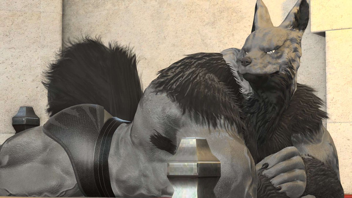 Sky Wolf tweet media