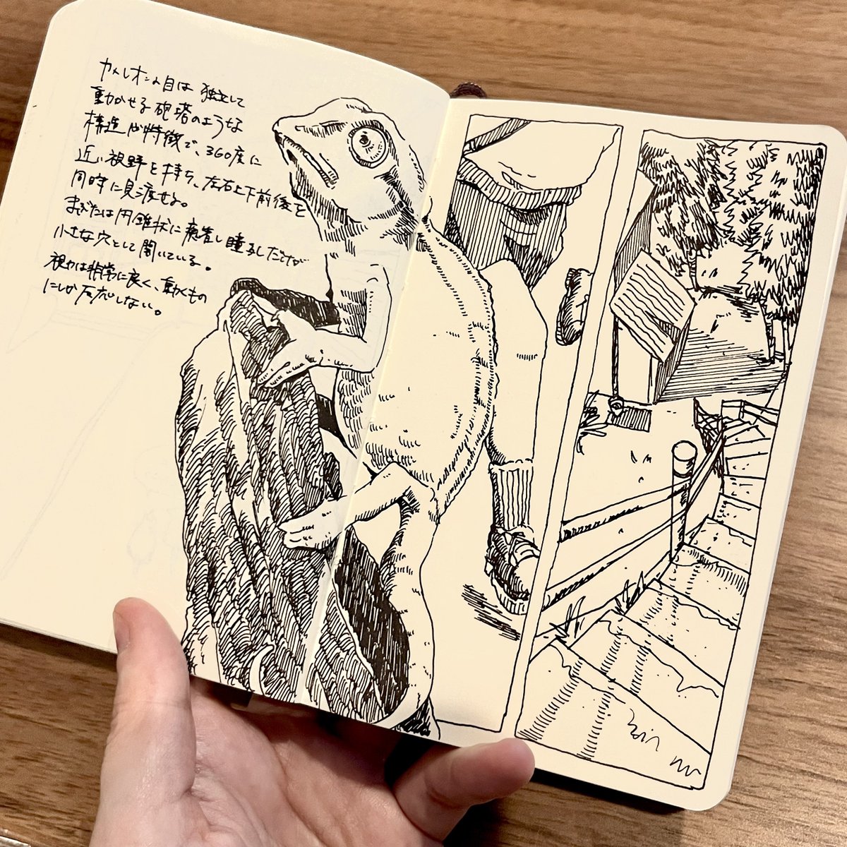 ひろはたゆきち tweet media