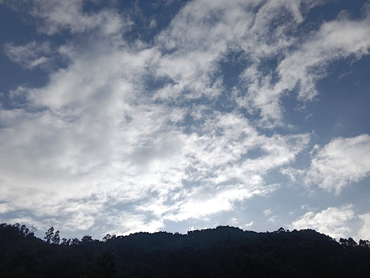 wilcheschaux tweet media