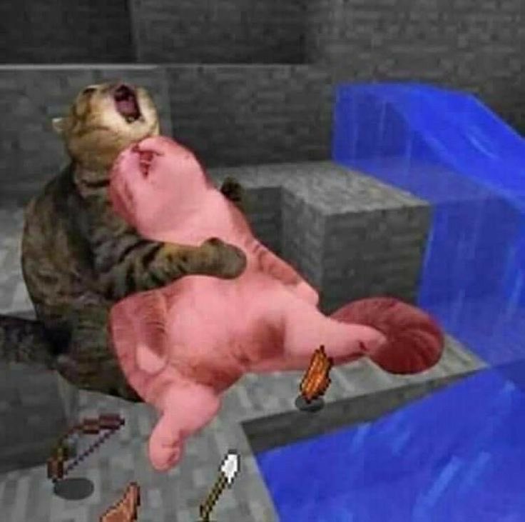 FruitCakeVT 🎄🎁 {BC & RE:FORM} tweet media