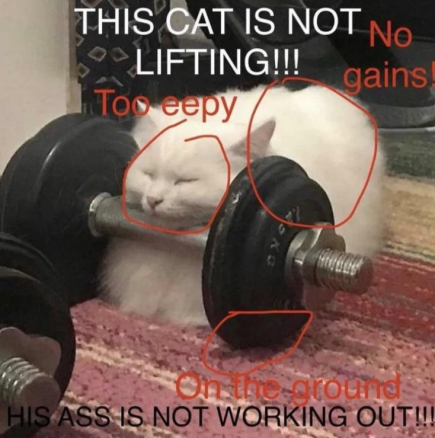 FurryFollowing tweet media