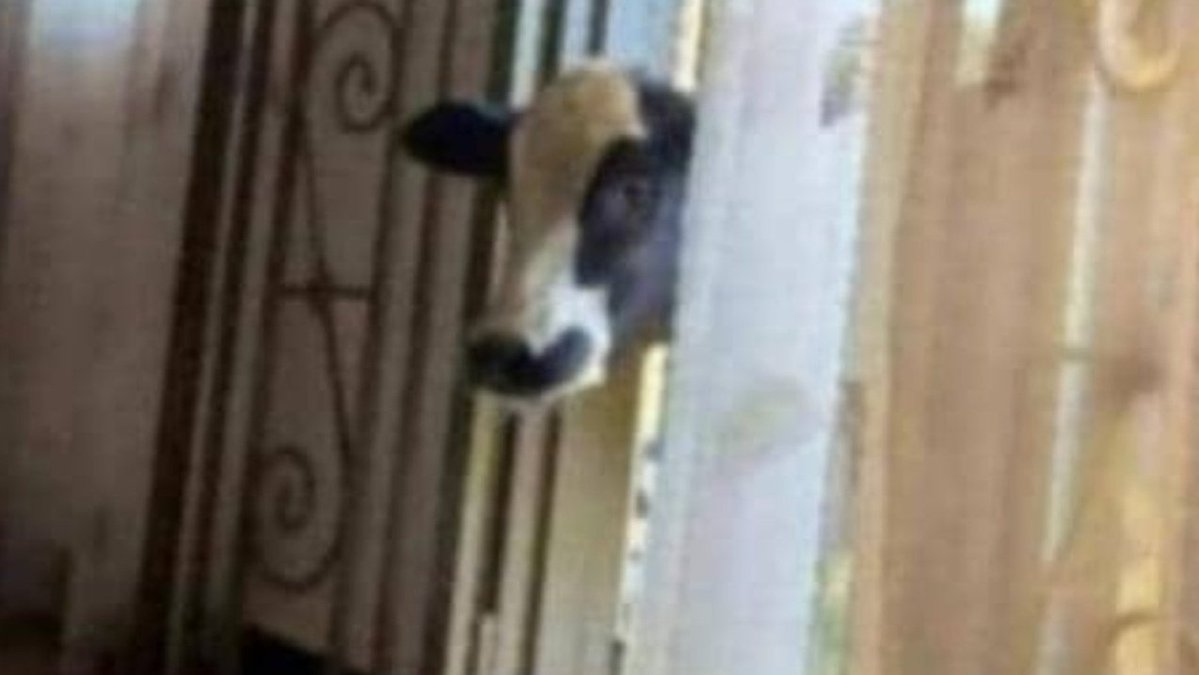 Nduko🧬™ tweet media