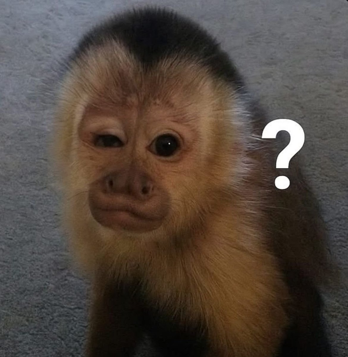 ❤️🩹🔑🄺🄴🅈 🄼🄰🅁🅉🪐❤️🩹 tweet media