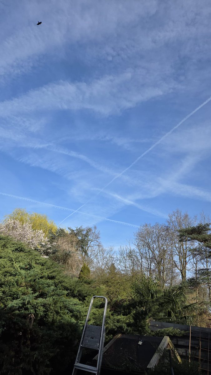 Finding Dory tweet media