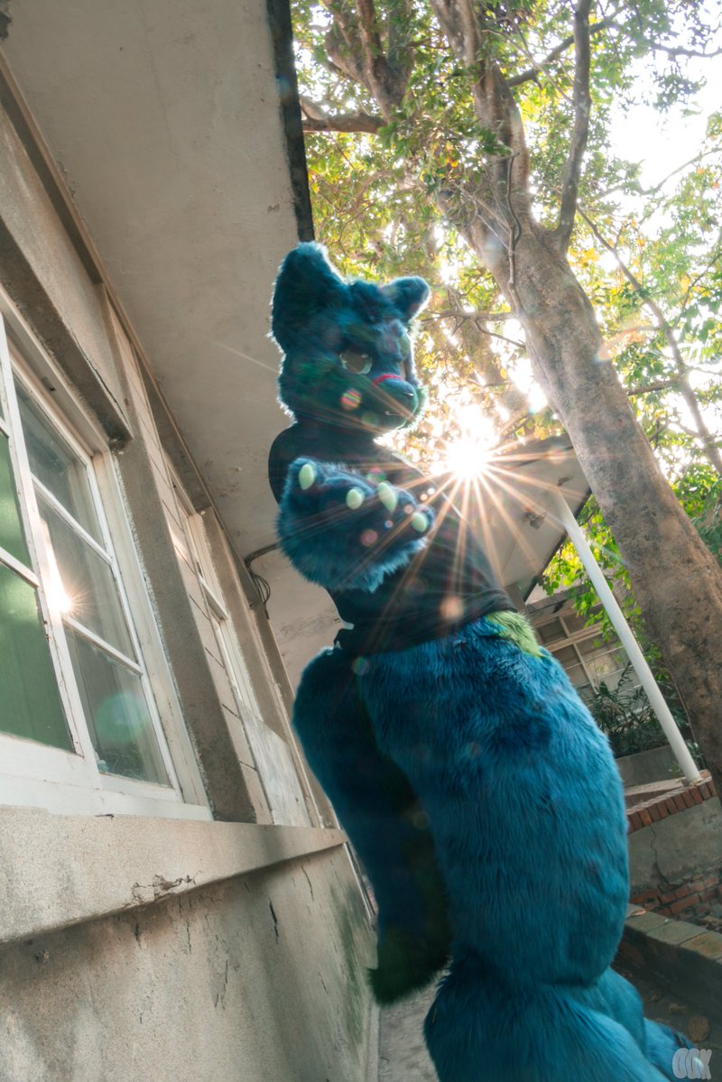 CT the Wolf➡️UTFG tweet media