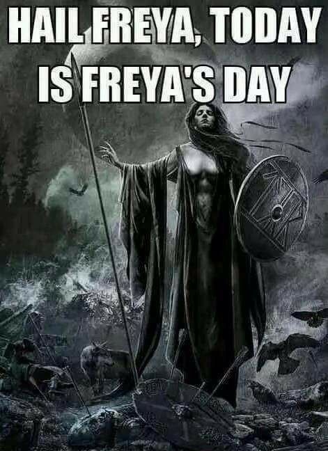 ᛞᚨᛁᛚᛁᚾ ᚦᛖ 🍍 Pagan 🦅 🐗 tweet media