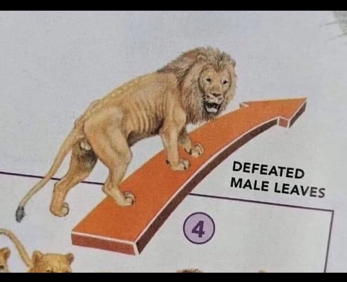 Eli Your Saviour tweet media