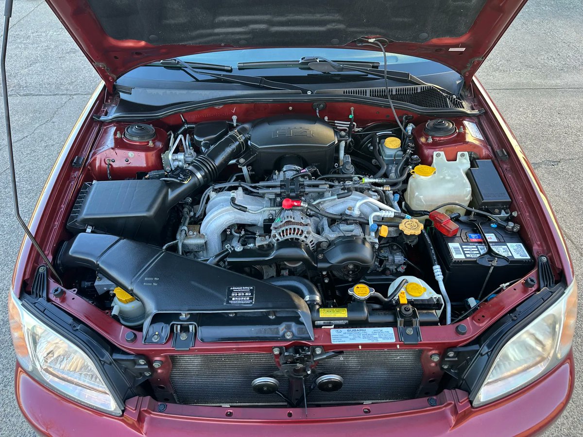 ワンビア tweet media