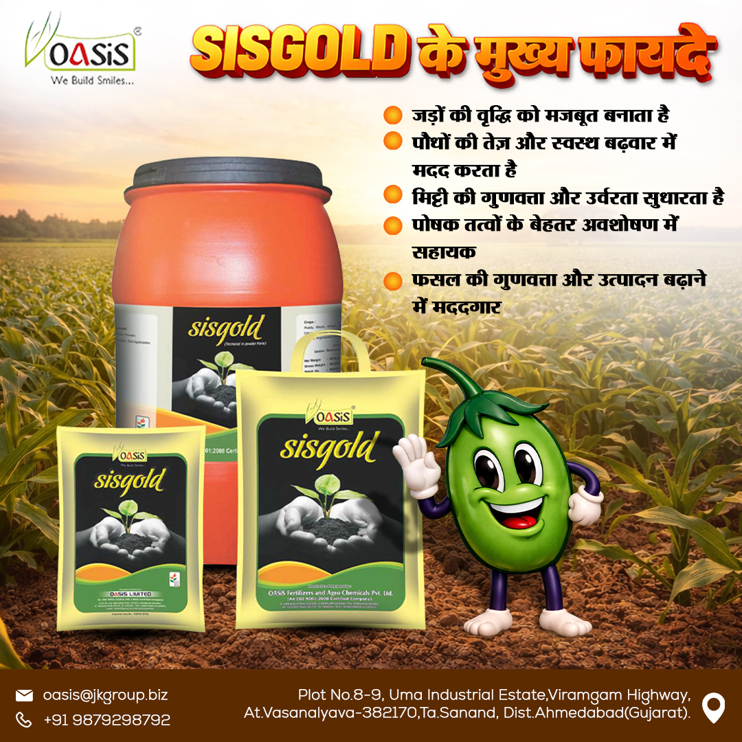 _Oasis_Limited's tweet photo. मिट्टी से लेकर फसल तक पूरी देखभाल 🌱 Sisgold के साथ 💪
बेहतर गुणवत्ता और अधिक उत्पादन का भरोसा 🚀🌾
.
#organicfarming #agriculture #SoilHealth #farmers #CropProtection #GreenFarming #Agricare #agribusiness #insecticide #farm #oasislimited https://t.co/wewUf5vnay