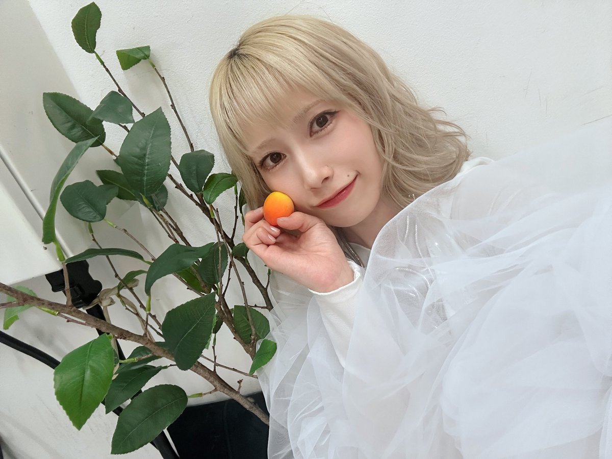 佐々木李子＠夏ワンマン開催🎤 tweet media