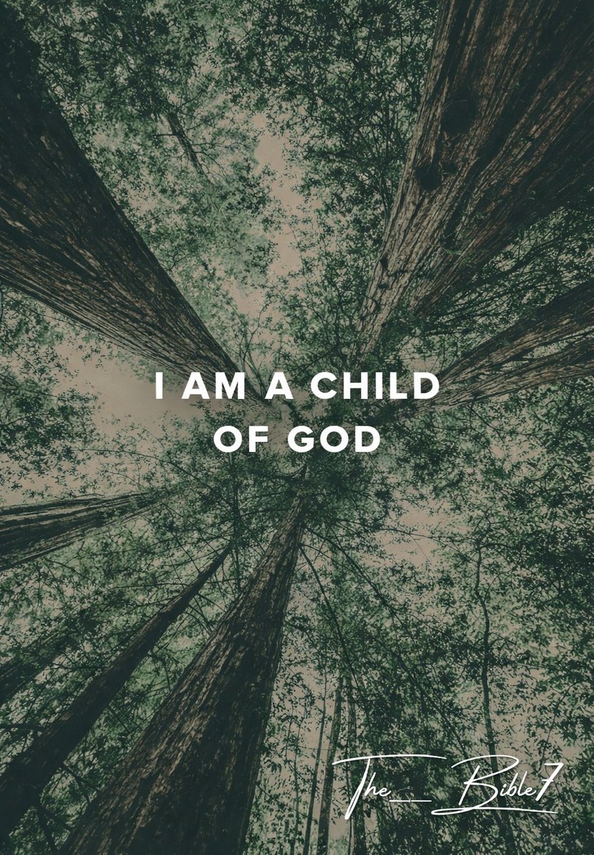 The Bible tweet media