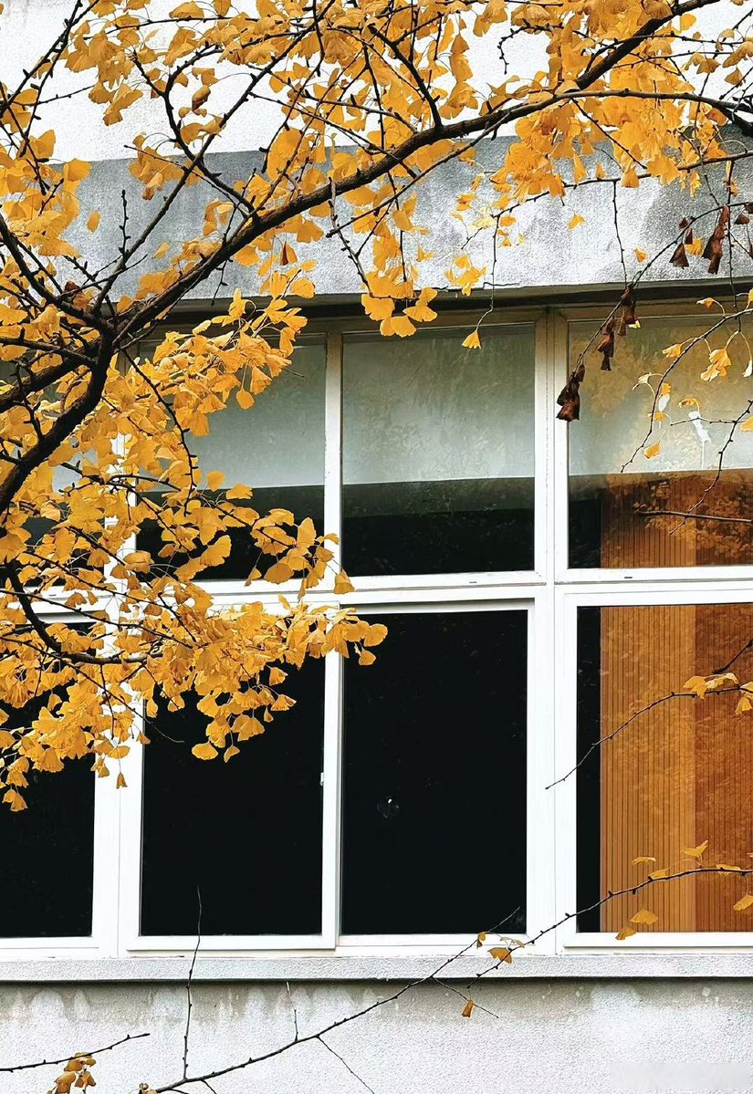 krystal quiambao tweet media