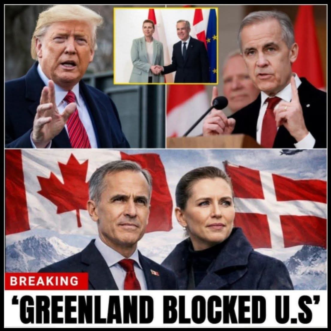 Mykhailo Rohoza tweet media