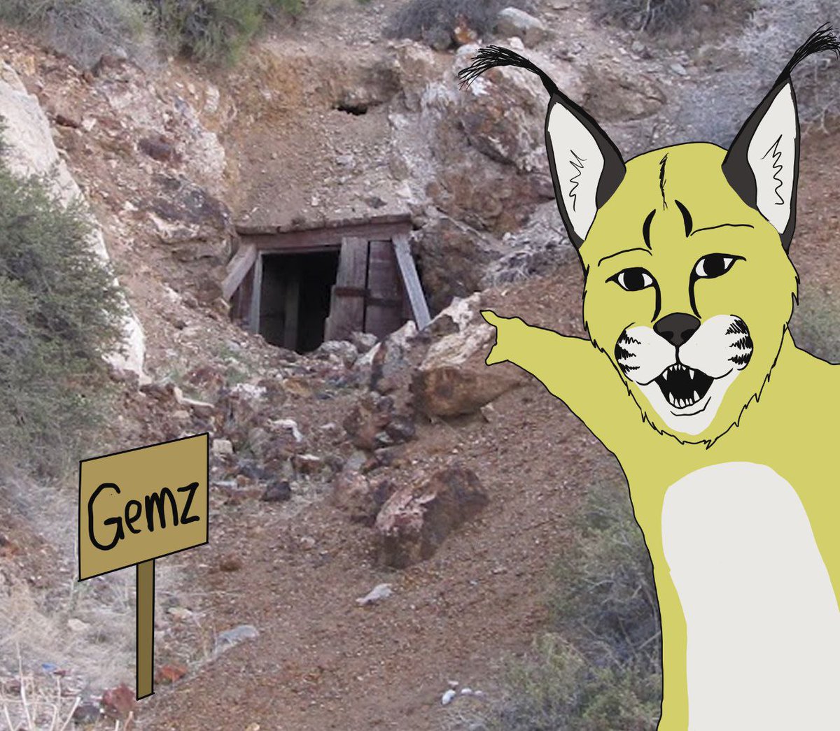 💎 Gem Caracal 💎 🇺🇲 tweet media