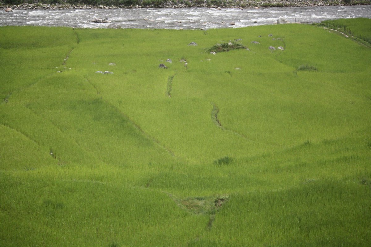 Bindasfauji 🇮🇳 tweet media