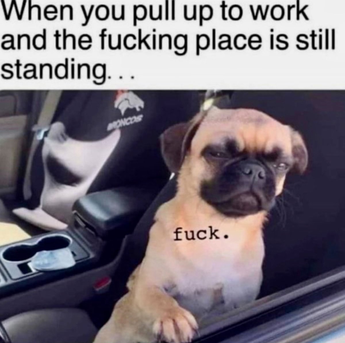 💋 Miss Behave 💋 tweet media