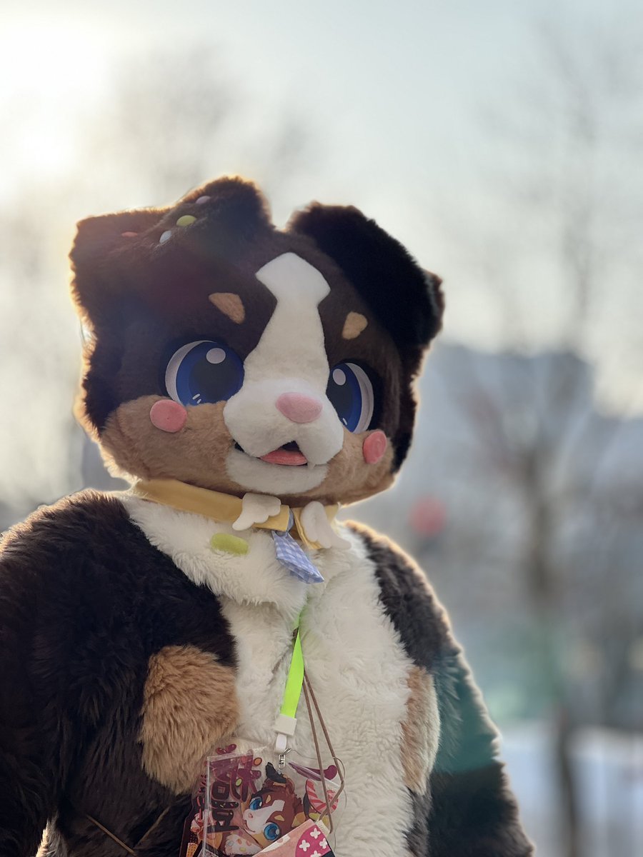 2c0hnjhkrXnu7XA's tweet image. #furry  #fursuit #FurryFriend 
⛄️❄️雪だ