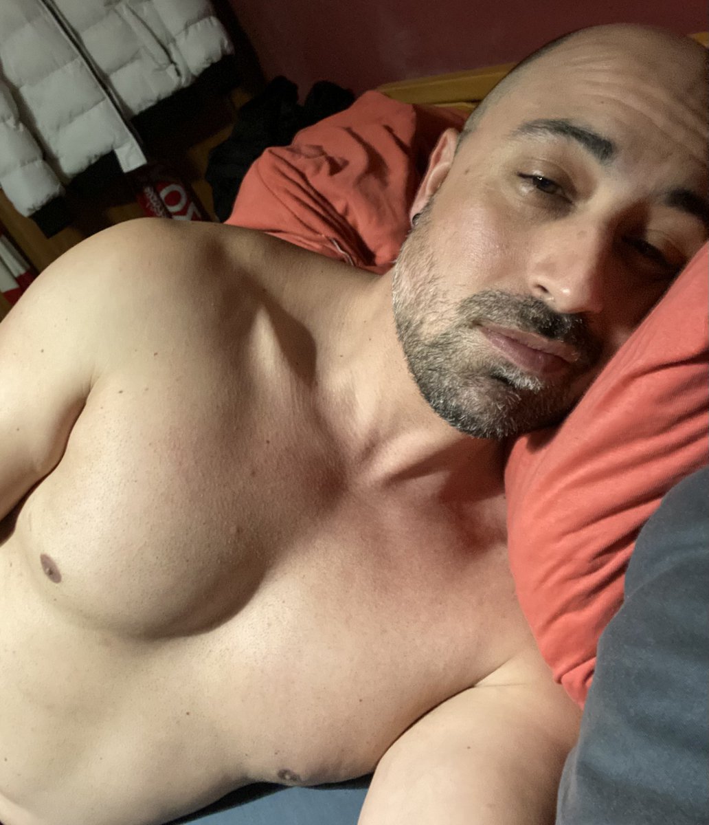 Predatroll 🏳️‍🌈 tweet media