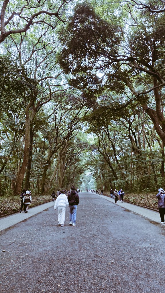 Phoebe Chan 🐝🌸 Densetsu.EXE tweet media