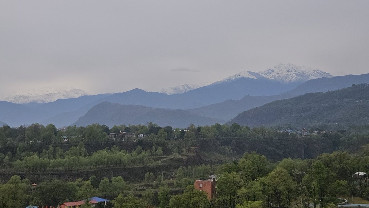 rupa joshi tweet media