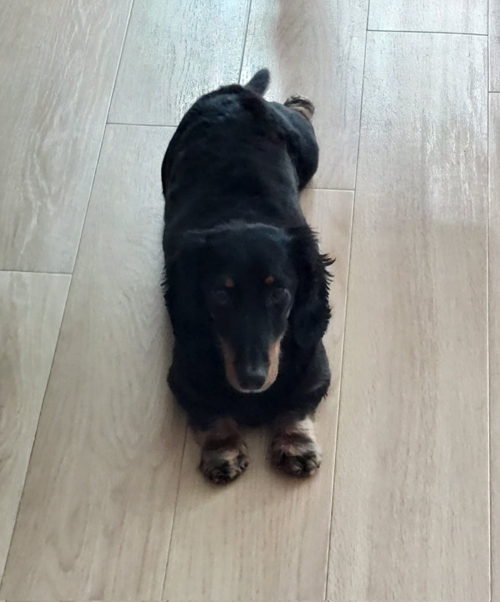 まーやん マイスト Milestonefor10years tweet media