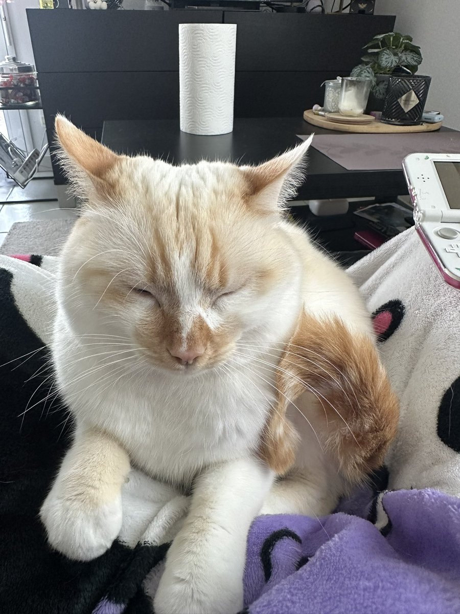 latte cœur lpb tweet media