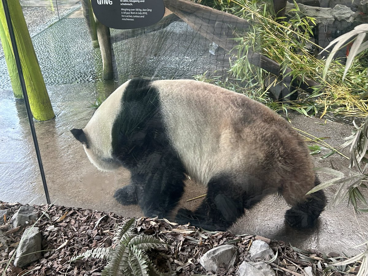 The King-Quahog tweet media