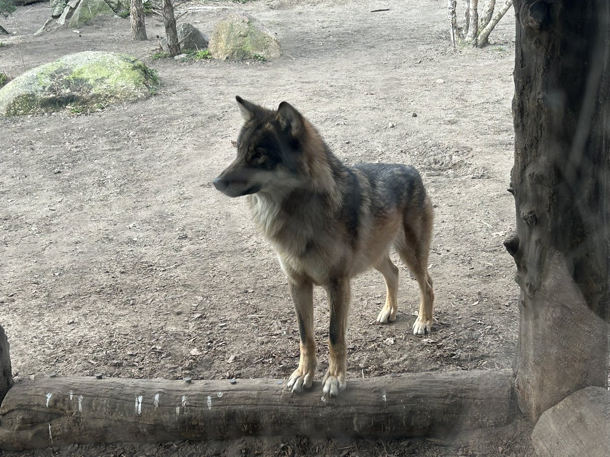 The King-Quahog tweet media