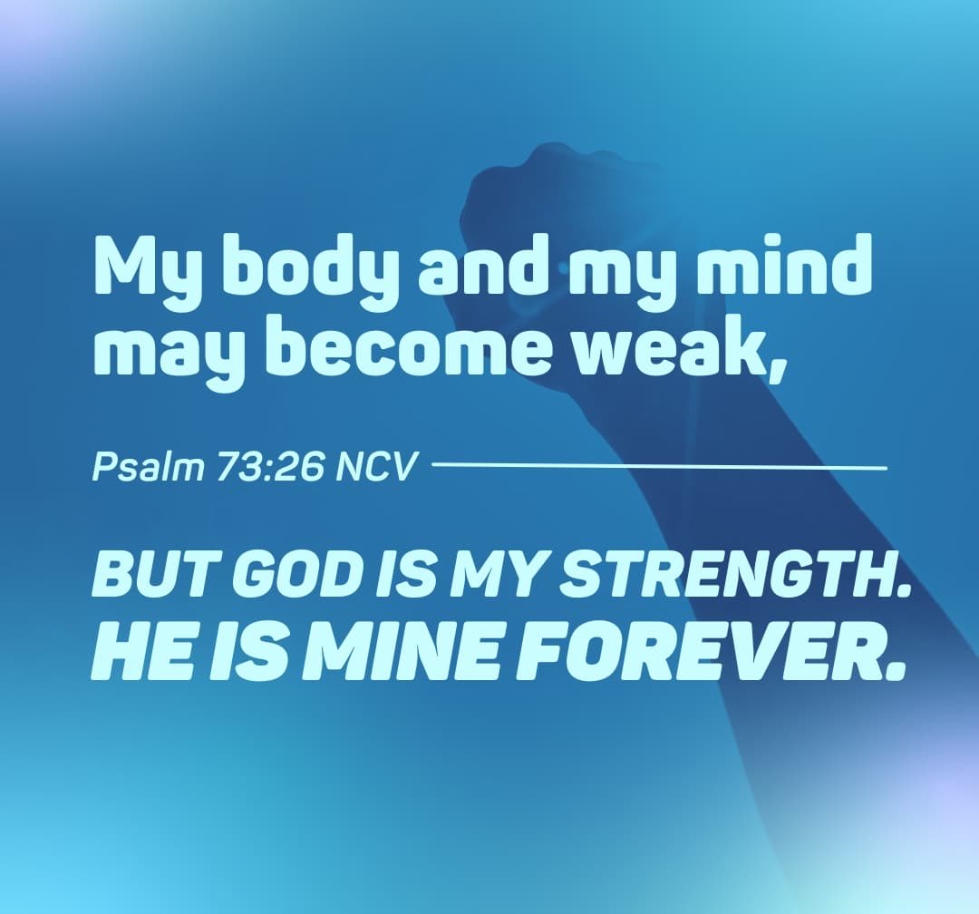 Susan Borg tweet media