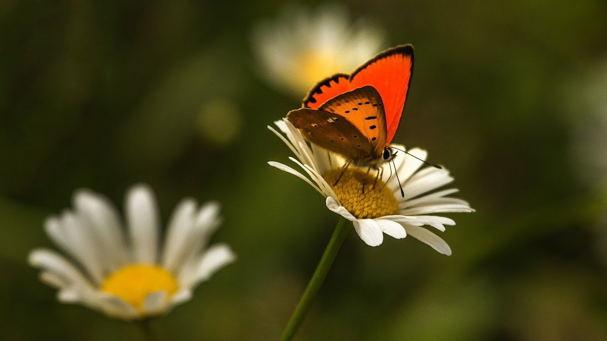 Plitvice Lakes National Park tweet media