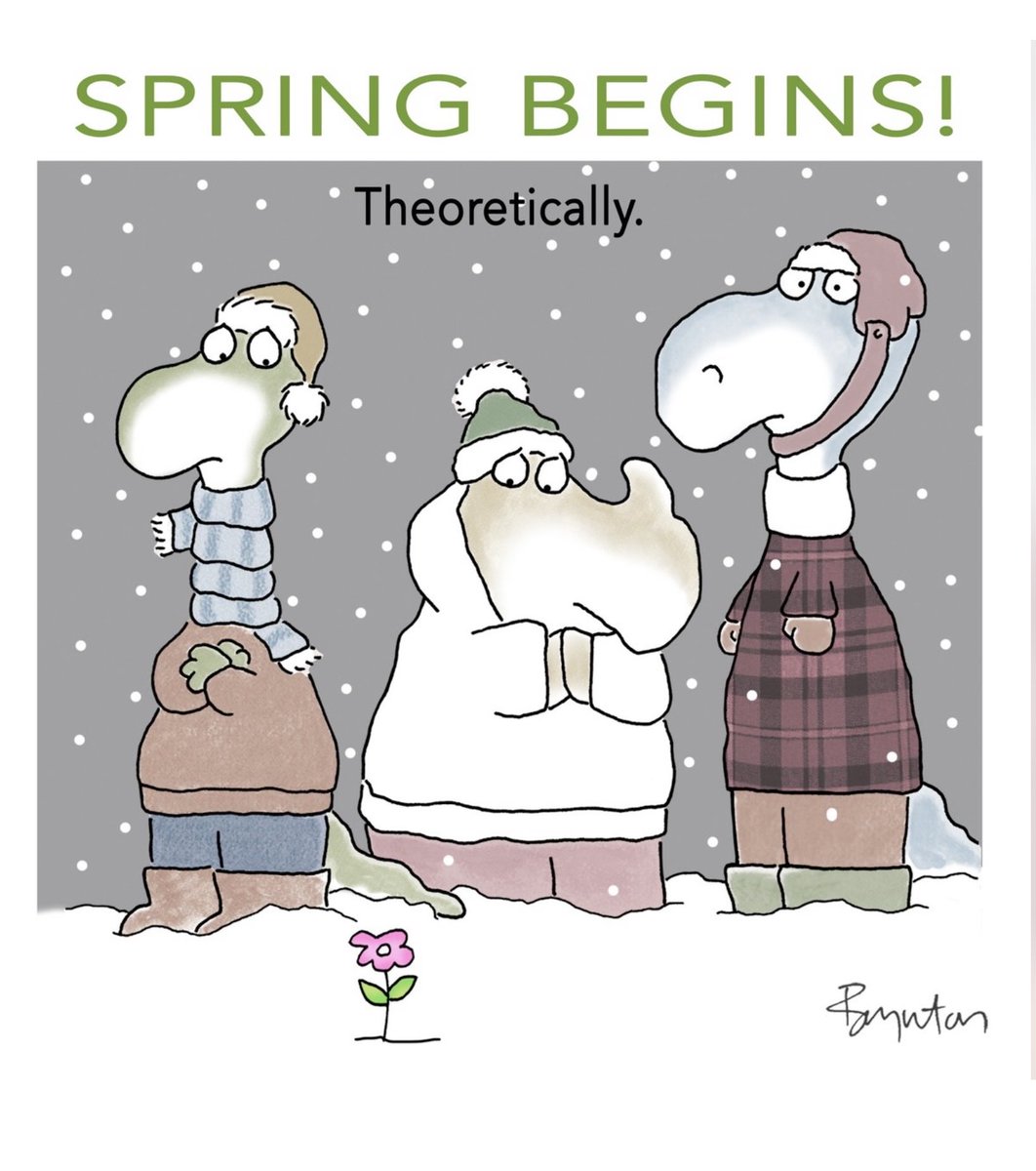 Donna M.chiera tweet media