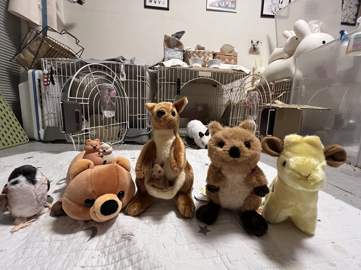 ๐ ้ฆใกใใ ๐ tweet media