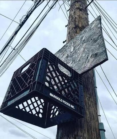 CEO Tuesday 🗽🇬🇭 ™ tweet media