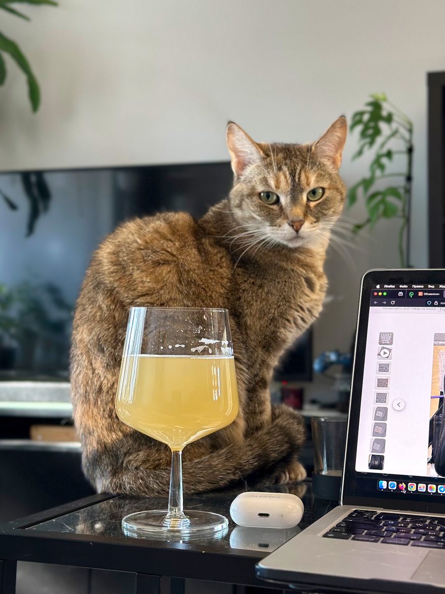 queen in the north tweet media