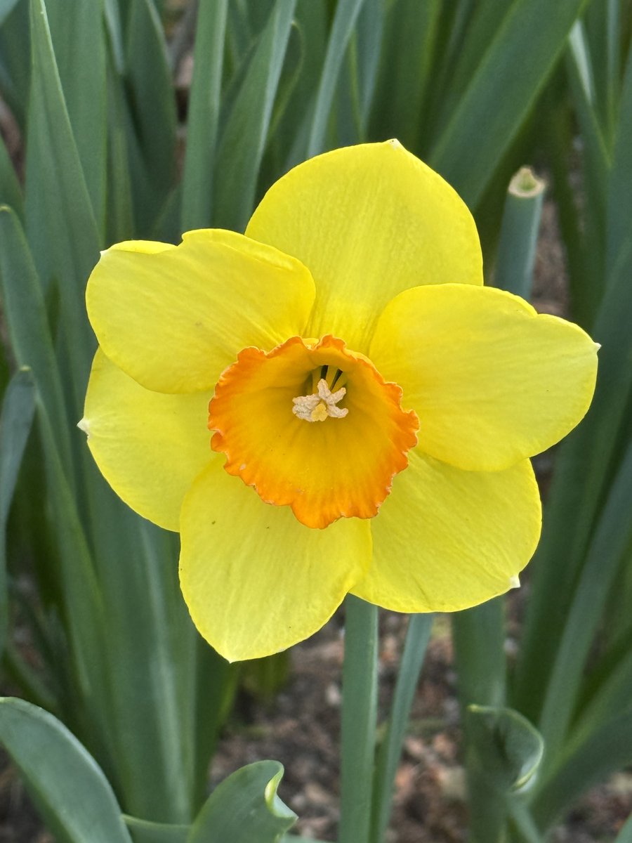 Eastern Seaboard tweet media