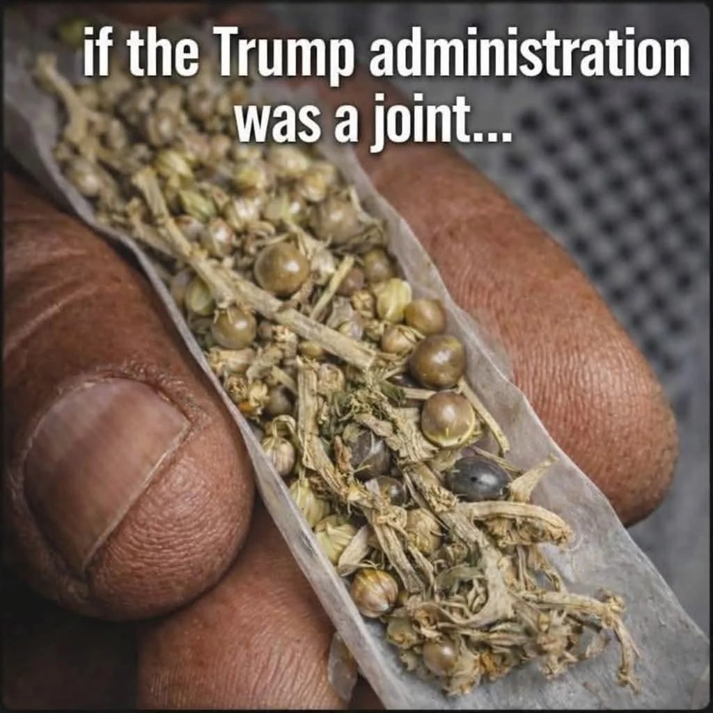 Anonymous tweet media