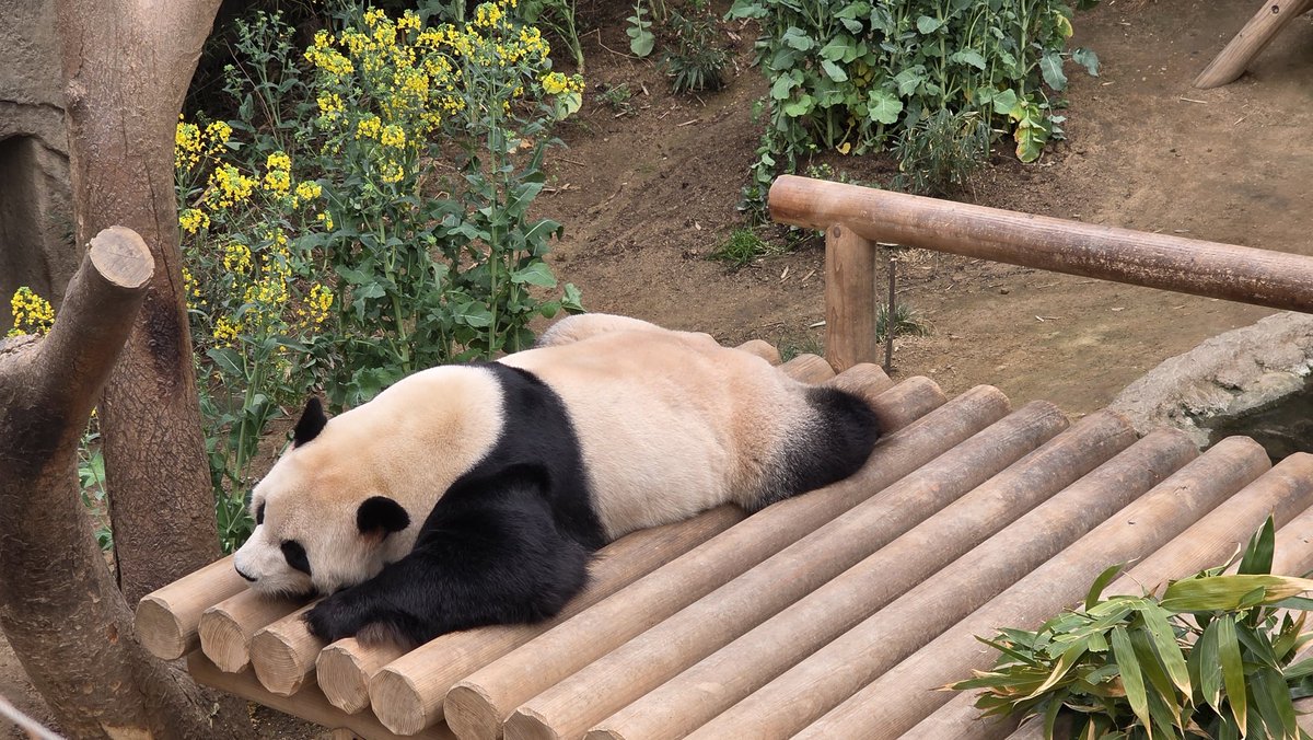 Watcher🔄 tweet media