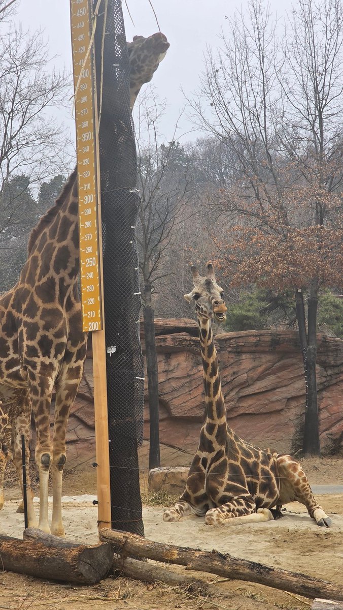 Watcher🔄 tweet media